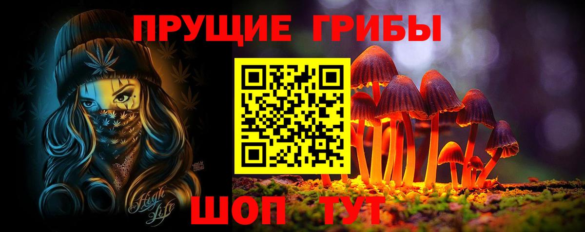 Псилоцибиновые грибы MAGIC MUSHROOMS Качканар