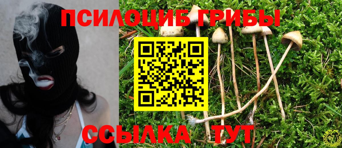 Качканар  Галлюциногенные грибы прущие грибы  Вход с VPN  Псилоцибиновые грибы MAGIC MUSHROOMS 