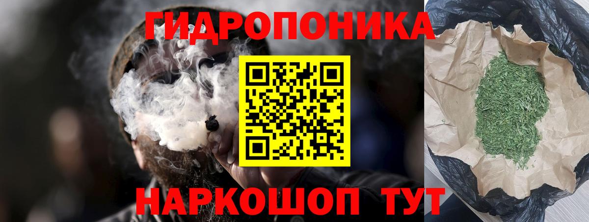 Марихуана конопля  Бошки марихуана план  Качканар  Канабис THC 21%  Вход с VPN 